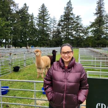 Babysitter Ashburton: Khusnul khotimah