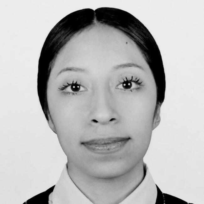 Niñera en Municipio de Metepec: Natali