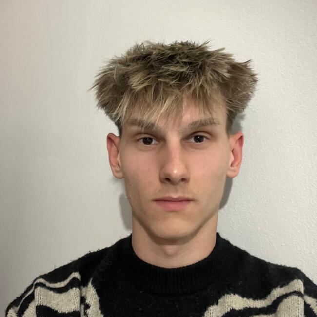 Babysitter in San Giovanni Lupatoto: Emil