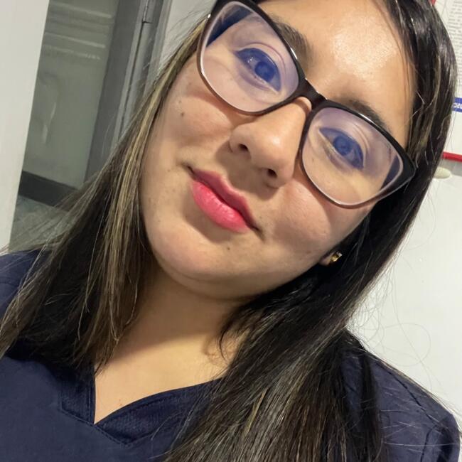 Babysitting job in Chiclayo: Alexandra cristal