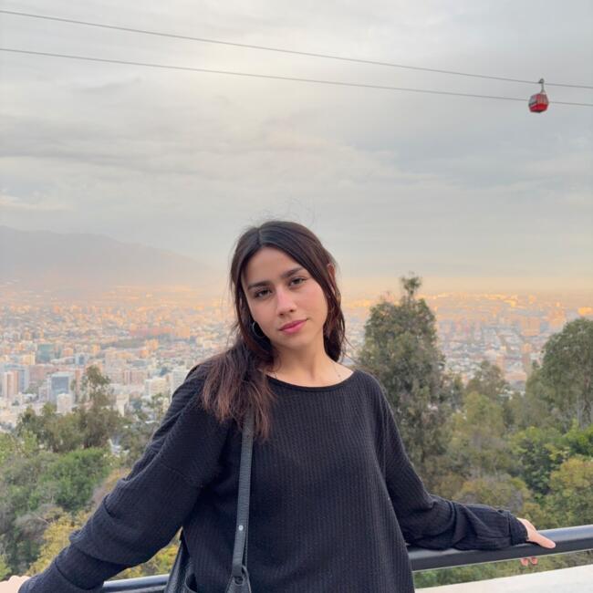 Babysitter in Puente Alto: Francisca