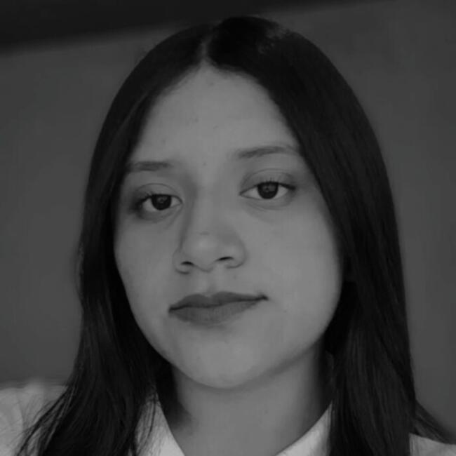 Niñera en Hueypoxtla: Linnet