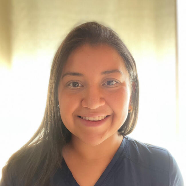 Niñera en Los Ángeles: Sofia Bravo Fernández