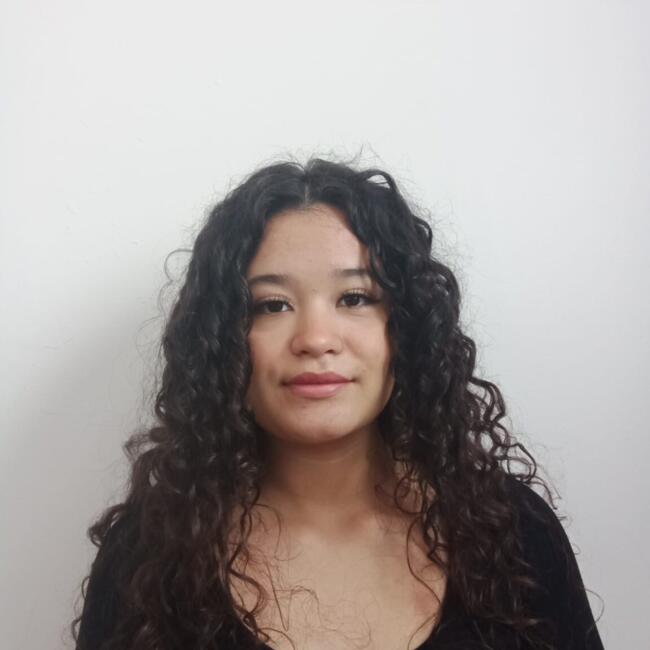 Babysitter in Puente Alto: Sophia