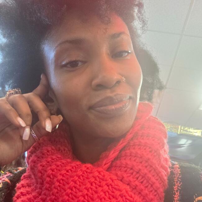 Babysitting job in Endicott (New York): Amirah