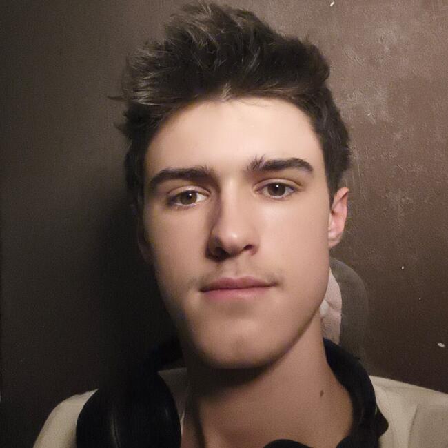 Babysitter in Six-Fours-les-Plages: Thomas