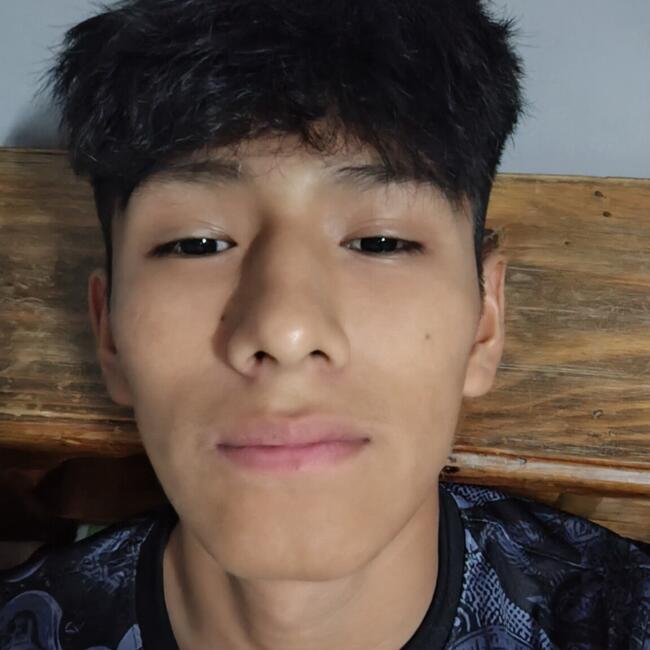 Babysitter in Capinota: Neison