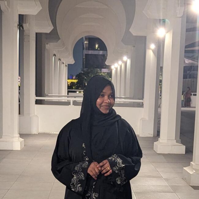 चेन्नई में बेबीसिटर: Dilshad