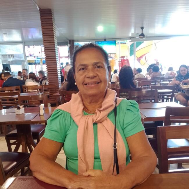 Babysitter in Queimados: Valdice