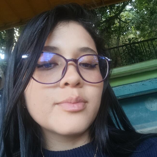 Niñera en Bogotá: Diana paola
