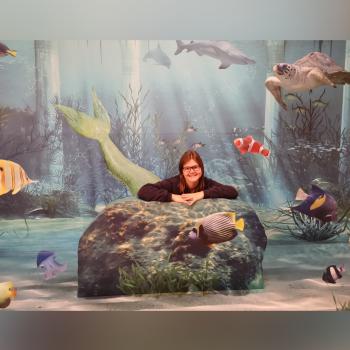 Babysitter in Wimpassing an der Leitha: Jasmin