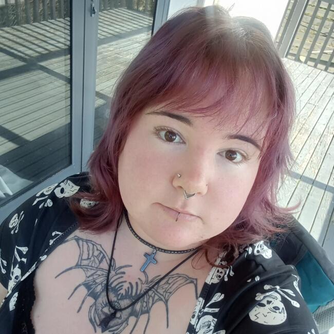 Babysitter in Wellington: Milo