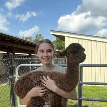 Babysitter in Bowling Green (Ohio): Samantha