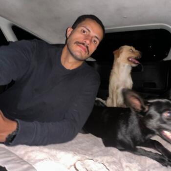 Babysitting job in São Sebastião: babysitting job Leandro