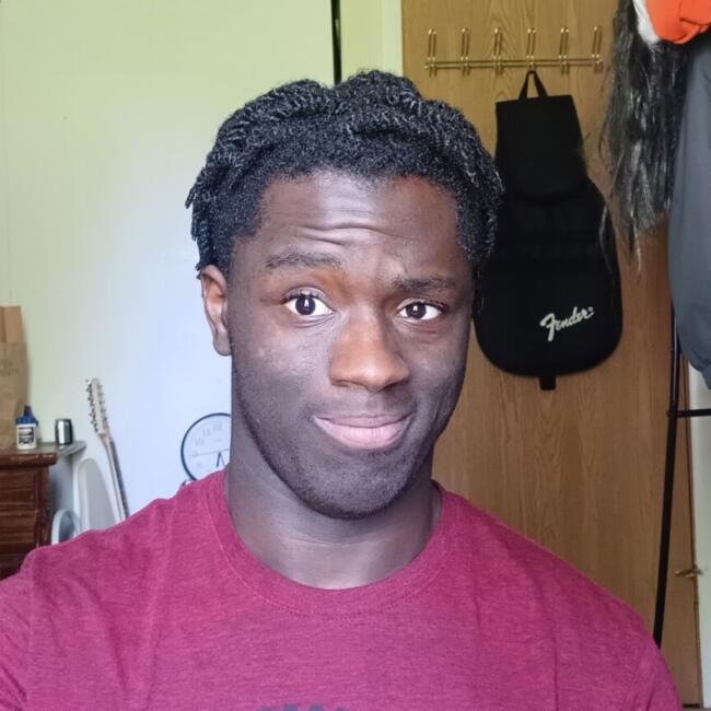 Babysitter in Schaumburg: Frank