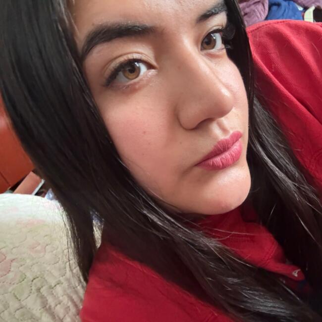 Babysitter in Puente Piedra (Departamento de Lima): Evelyn