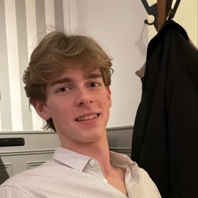 Babysitter a Milano: Max
