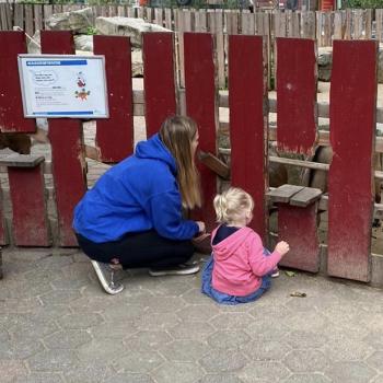 Babysitters in Bochum: Isabel