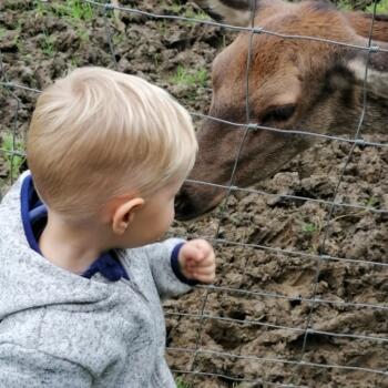 Babysitter Job in Ulm: Babysitter Job Gundula