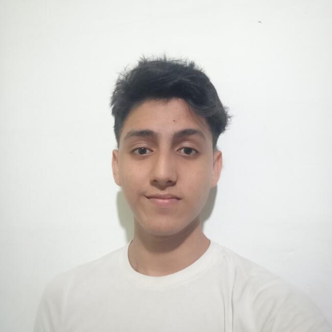 Baby-sitter in Portoviejo: Pedro