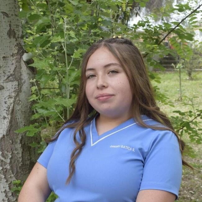 Babysitter in Puente Alto: Damary