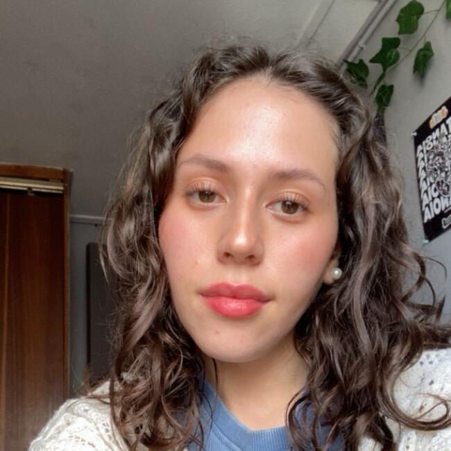 Babysitter in Temuco: Camila