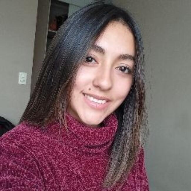 Babysitter in Padre Las Casas: Minerva