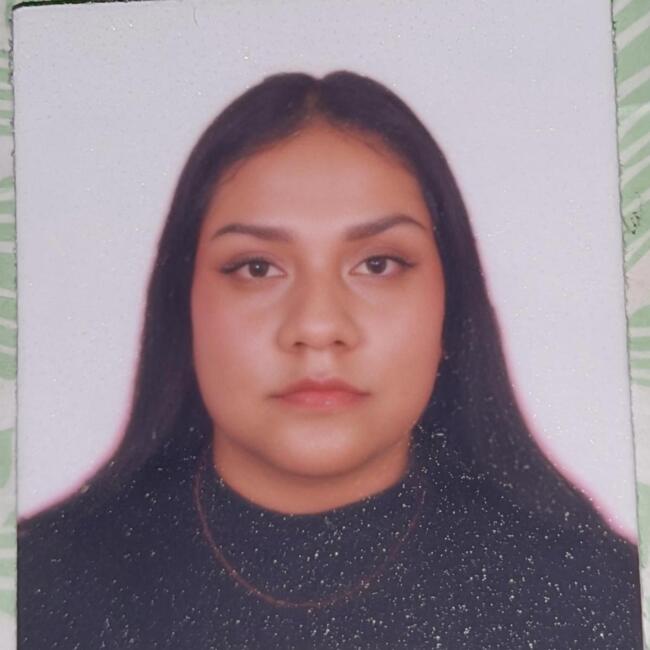 Niñera en Adolfo López Mateos: Cristina Sandoval