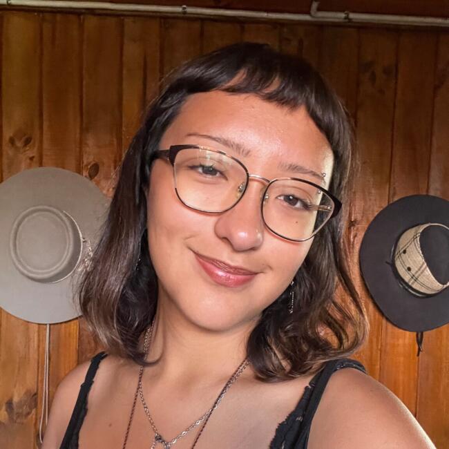 Babysitter in Santiago: Francisca