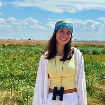 Babysitter em Amadora: Joana Costa