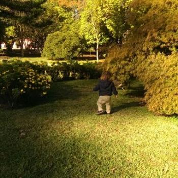 Parent Porto: babysitting job Fatima