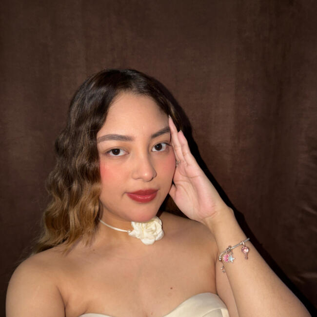 Babysitting job in Saltillo: Monica