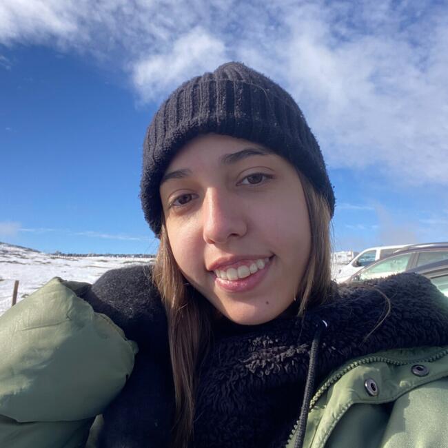 Babysitter in Vila Nova de Gaia: Inês