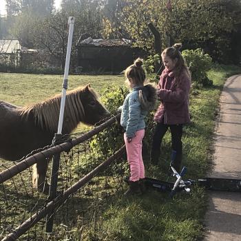Oppaswerk in Deventer: oppasadres Marloes