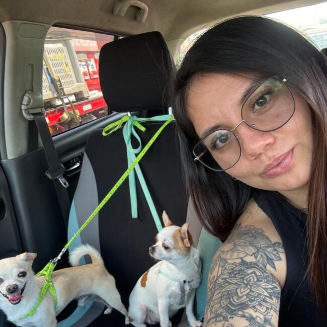 Babysitter in Melipilla: Alondra Farías