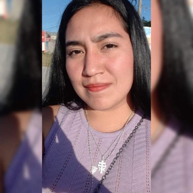 Babysitting job in Puebla City: Areli