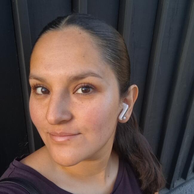 Babysitter in San Manuel (Región Aysén del General Carlos Ibáñez del Campo): Elena