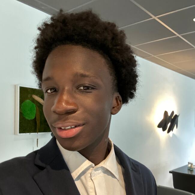 Babysitter in Verrières-le-Buisson: Seydou