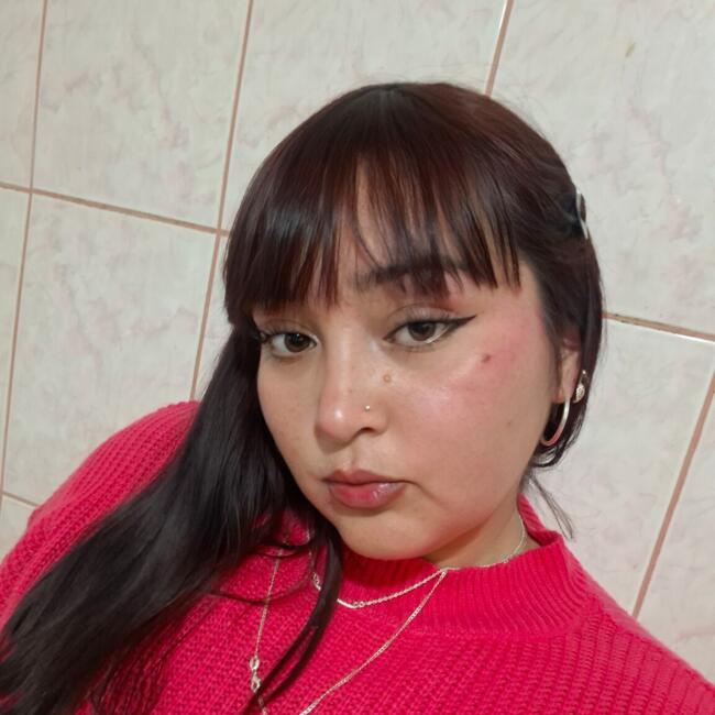 Babysitter in Santiago: Aracelly