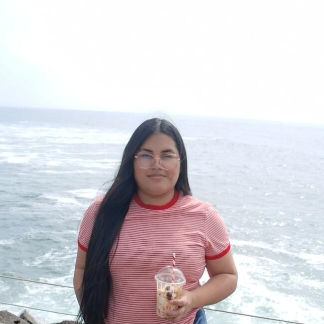Babysitter in Antofagasta: Jhomara