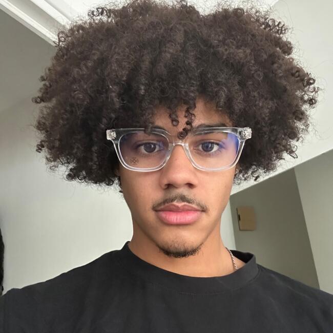 Babysitter in Vannes: Louisian