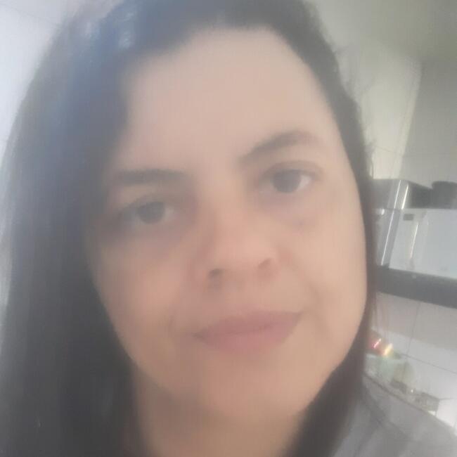 Babysitter in Vitória da Conquista: Lucineide