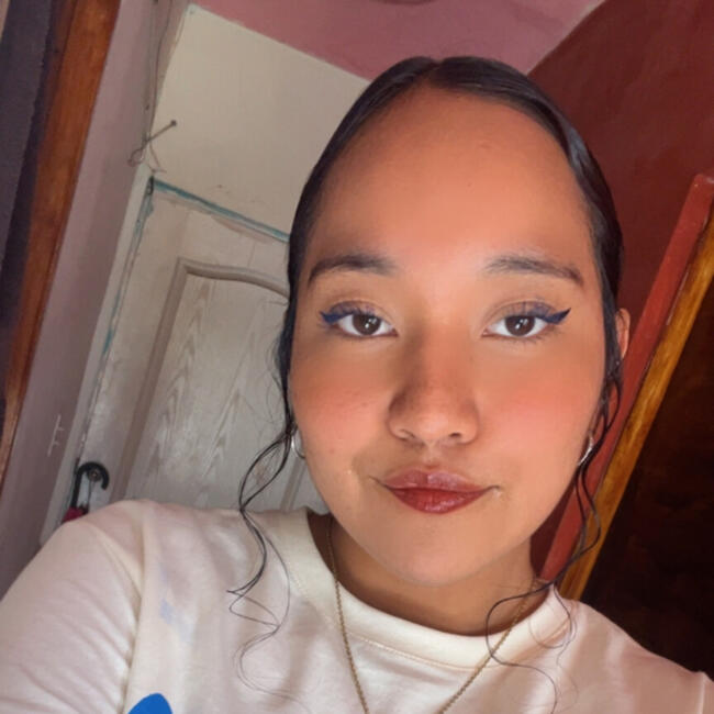 Babysitter in Chihuahua City: Norma