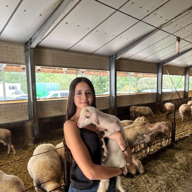 Canguro en Parets del Vallès: Abril