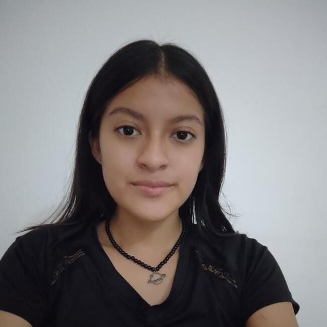 Niñera en Santa Cruz de la Sierra: Diana Guzman