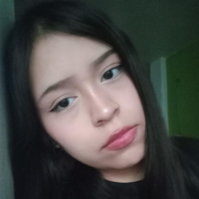 Babysitter in Parcona: Minerva