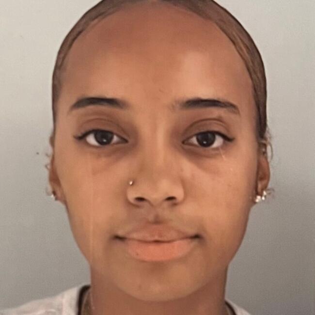 Baby-sitter à Épinay-sur-Seine: MAYA