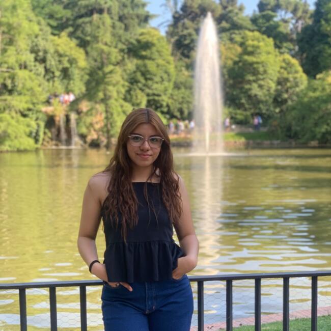 Babysitter in Collado Villalba: Genesis