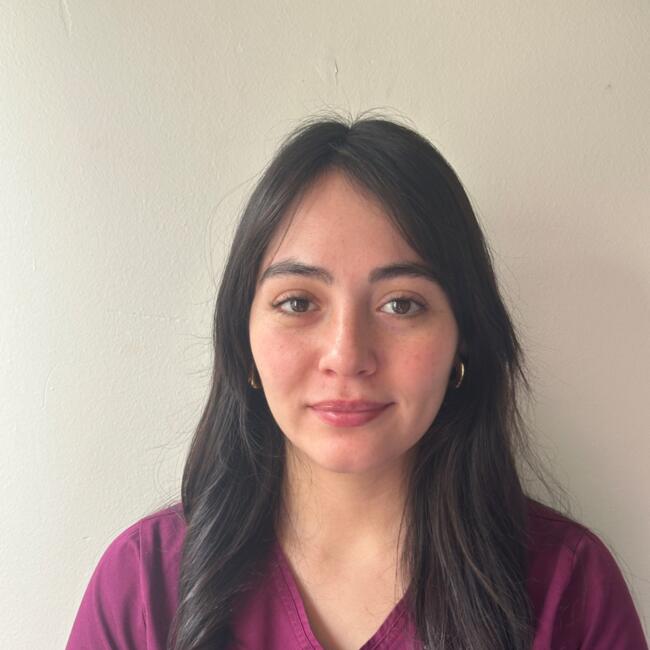 Niñera en Chillán: Josefa Castillo Salazar