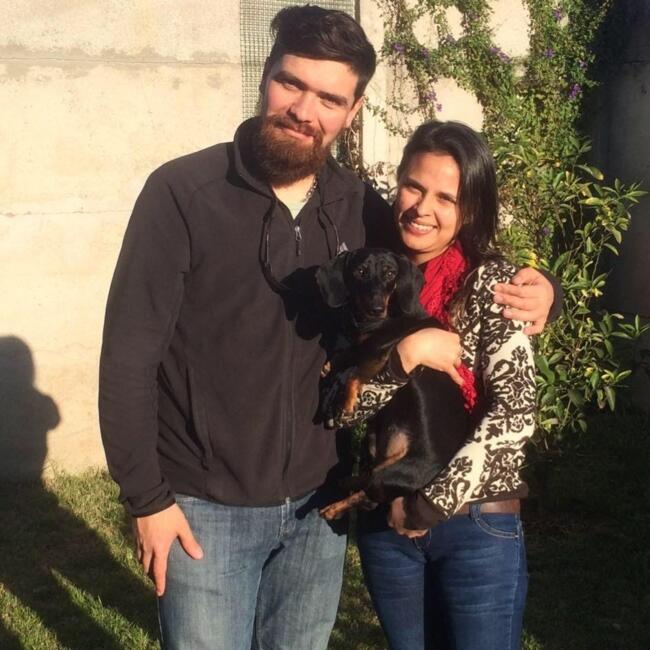 Babysitting job in La Serena: Jessica